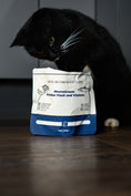 Bild in Galerie-Betrachter laden, Premium-Katzenfutter - 100 g  Fisch
