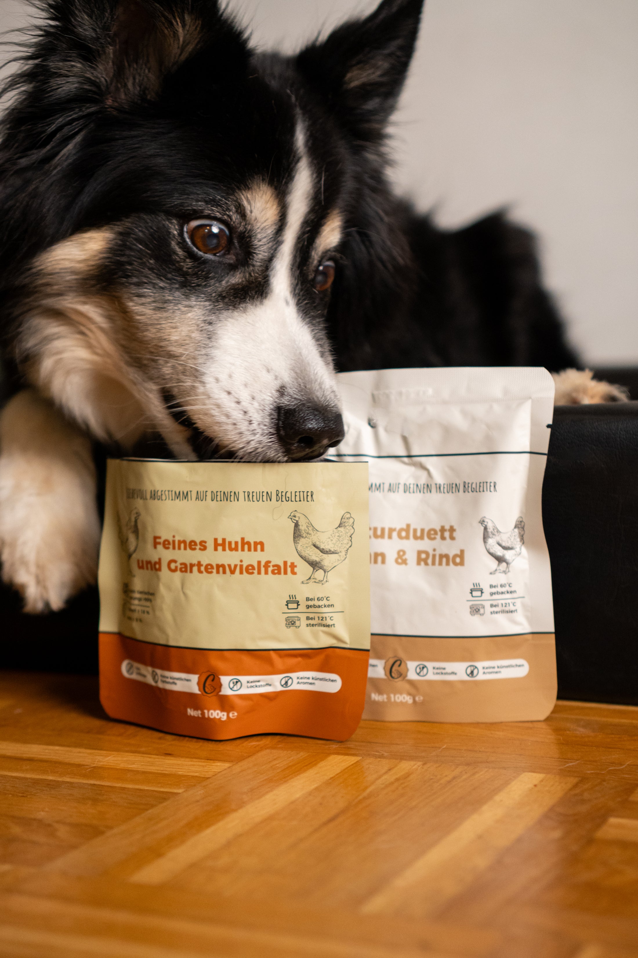 Probierbox Hund - 12x100g Beutel