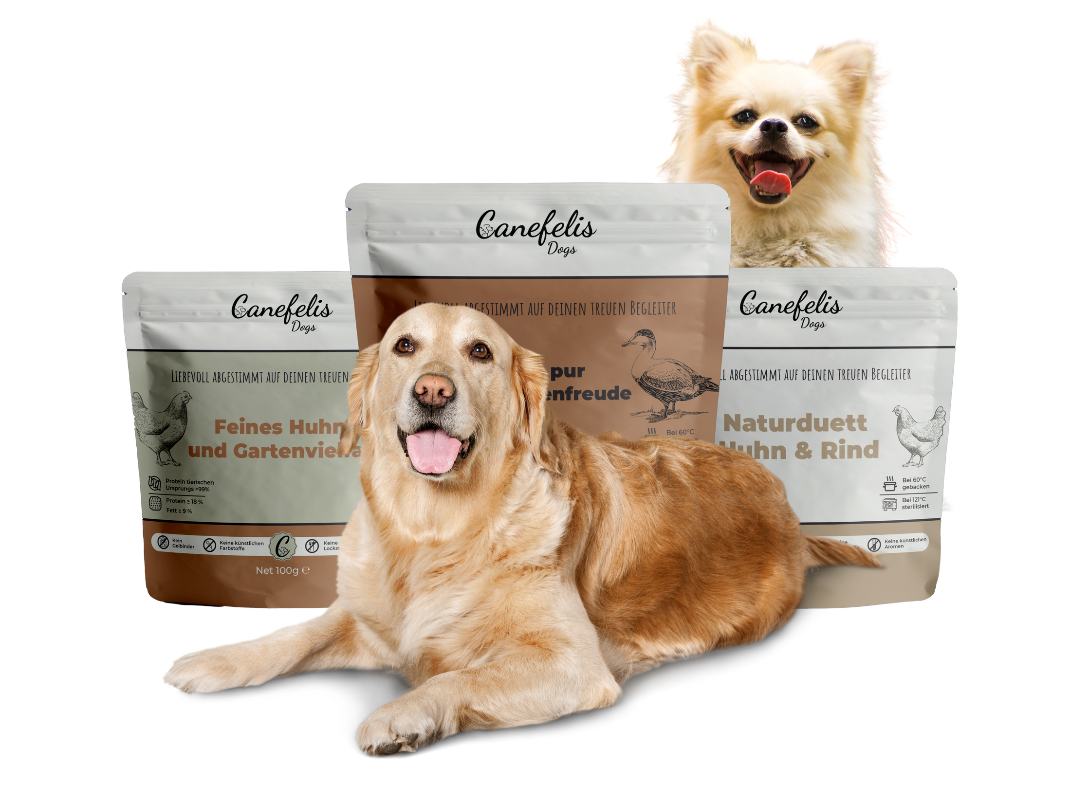 Probierbox Hund - 12x100g Beutel